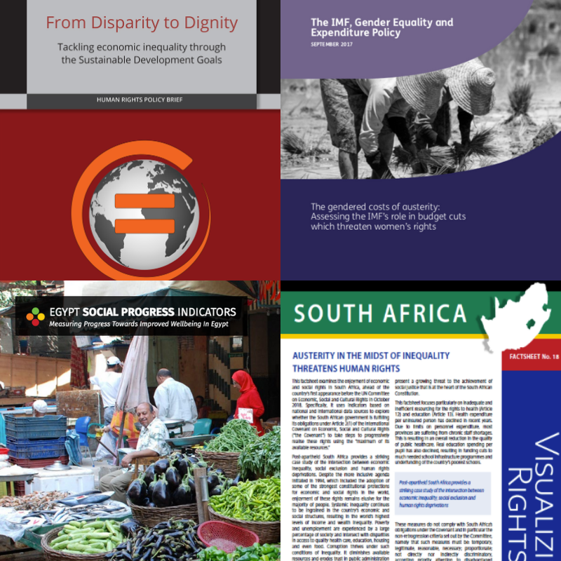 Tackling Economic Inequality Through Human Rights: Overview of CESR ...