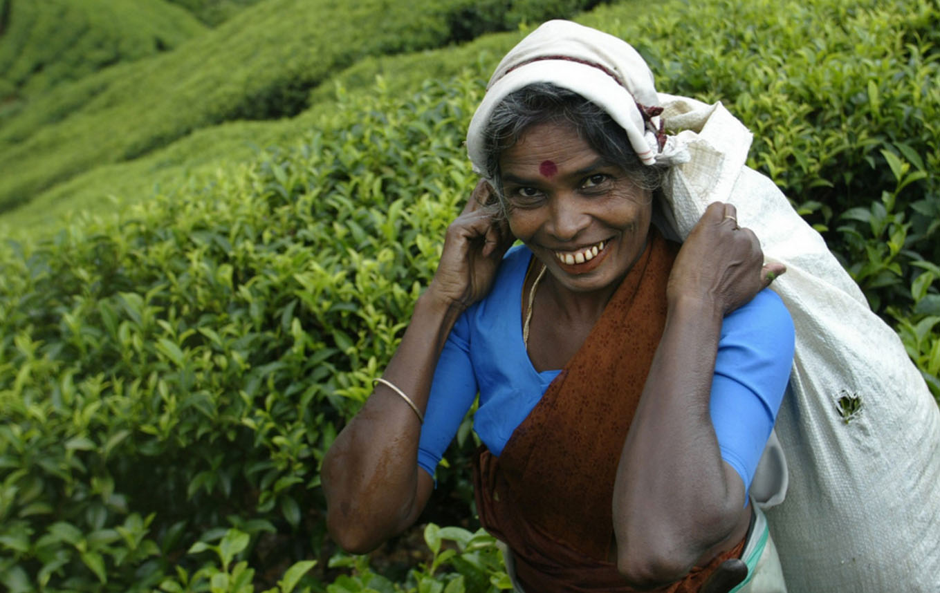 Шри ланка женщины. Женщины на Шри Ланке. Красивые женщины Шри-Ланки. Шри Ланка девушки местные фото. Ланкийская женщина.
